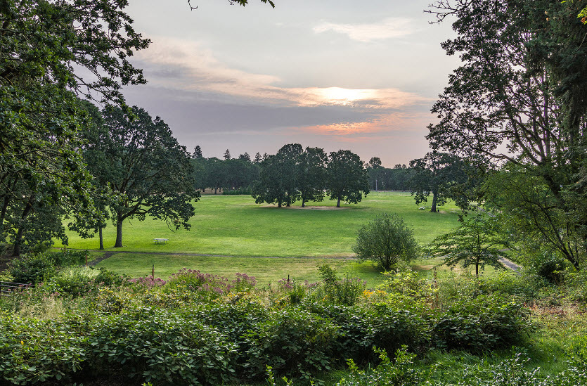 Bush's Pasture Park, United States